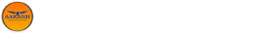 Footer Logo